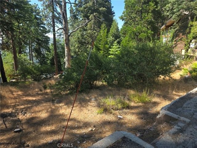 30778 Live Oak, Running Springs, CA 92382