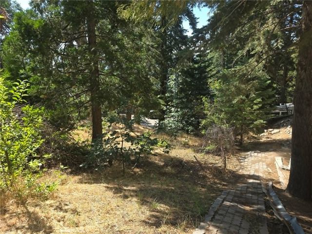30778 Live Oak, Running Springs, CA 92382
