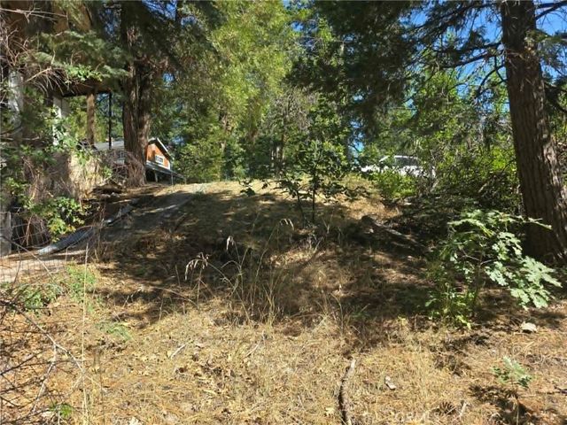 30778 Live Oak, Running Springs, CA 92382