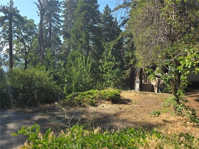 30778 Live Oak, Running Springs, CA 92382