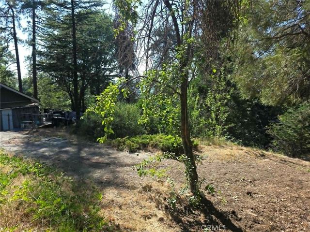 30778 Live Oak, Running Springs, CA 92382