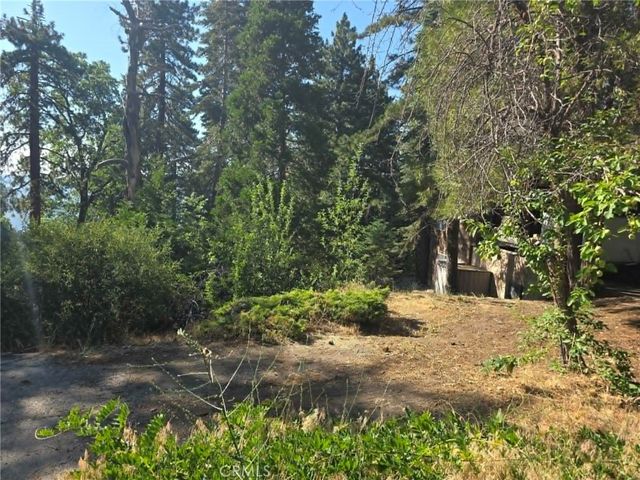 30778 Live Oak, Running Springs, CA 92382