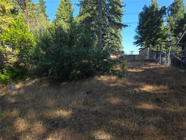 30778 Live Oak, Running Springs, CA 92382