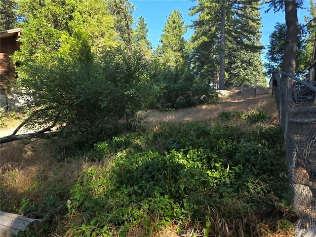 30778 Live Oak, Running Springs, CA 92382