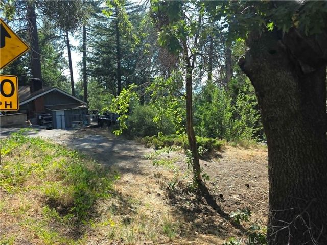 30778 Live Oak, Running Springs, CA 92382