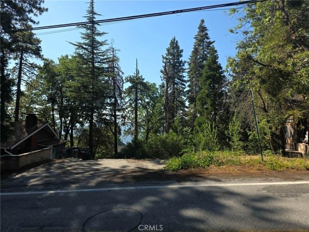 30778 Live Oak, Running Springs, CA 92382