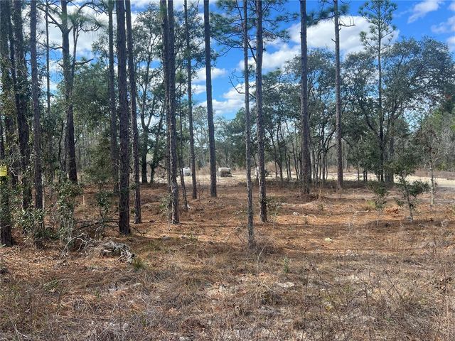 0000 SE 135TH COURT SE, Dunnellon, FL 34431