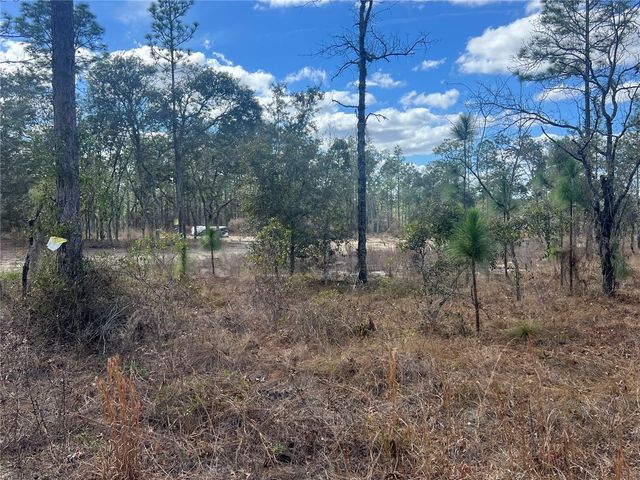 0000 SE 135TH COURT SE, Dunnellon, FL 34431