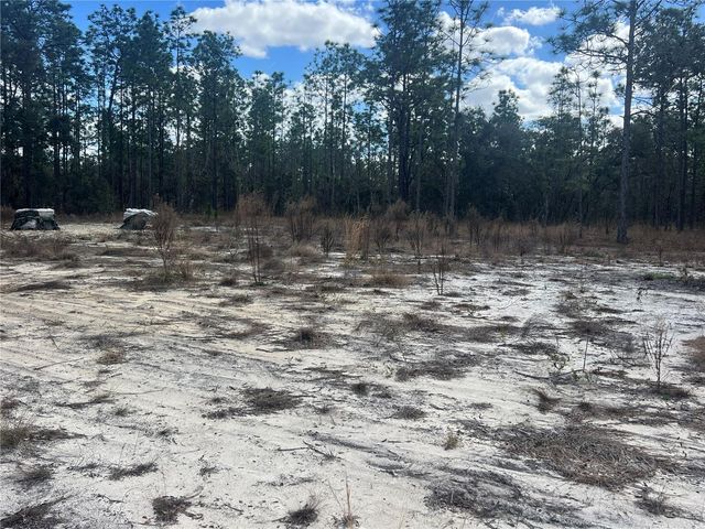 0000 SE 135TH COURT SE, Dunnellon, FL 34431