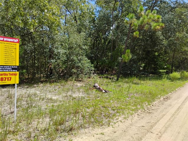 244 THOMPSON AVENUE, Interlachen, FL 32148