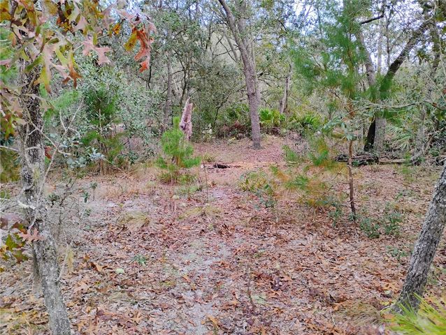 244 THOMPSON AVENUE, Interlachen, FL 32148