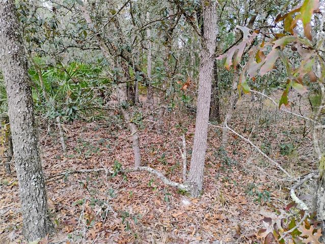 244 THOMPSON AVENUE, Interlachen, FL 32148