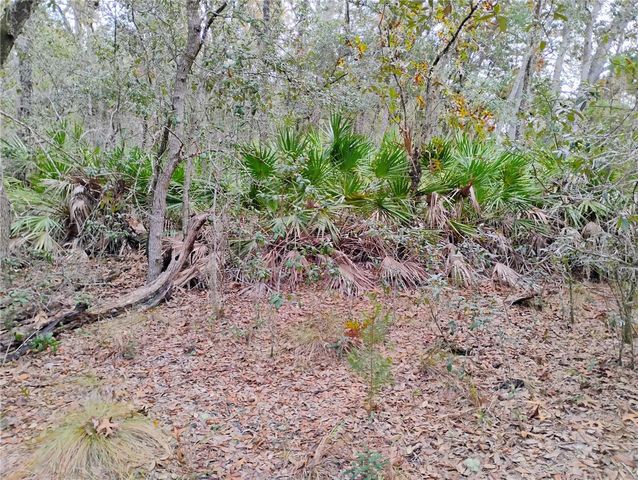 244 THOMPSON AVENUE, Interlachen, FL 32148