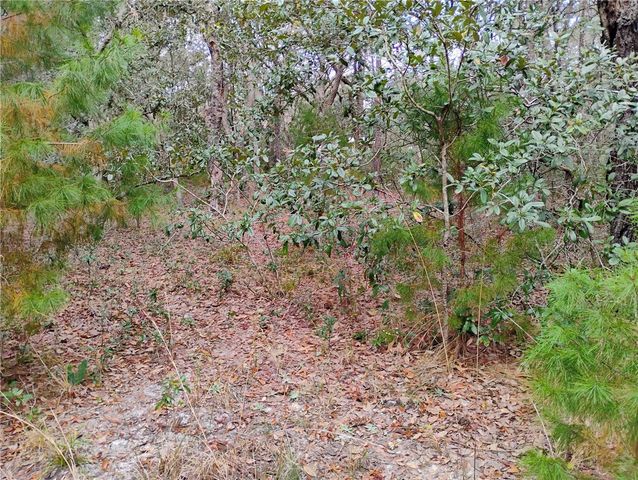 244 THOMPSON AVENUE, Interlachen, FL 32148