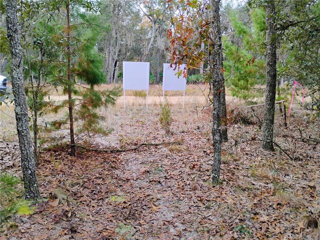 244 THOMPSON AVENUE, Interlachen, FL 32148