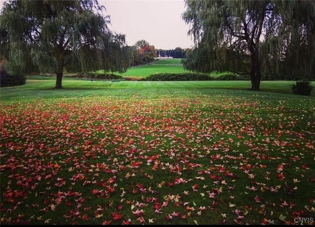 509 Mclean Road, Cortlandville, NY 13045