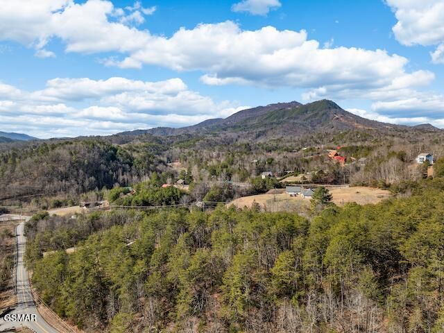 1308 Timberwolf Way, Sevierville, TN 37876