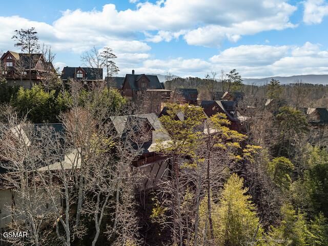 1308 Timberwolf Way, Sevierville, TN 37876