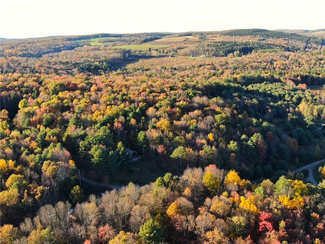 260 Log Cabin Lane, New Berlin, NY 13843