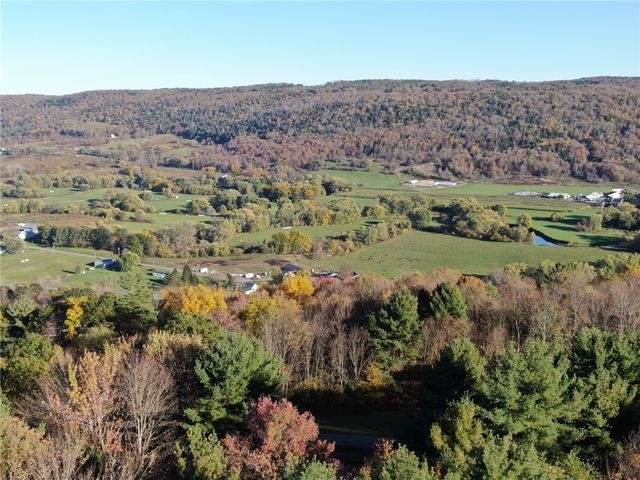 260 Log Cabin Lane, New Berlin, NY 13843