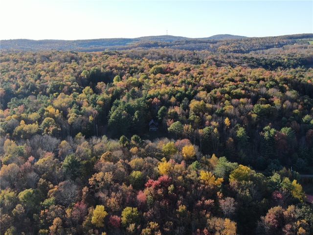 260 Log Cabin Lane, New Berlin, NY 13843