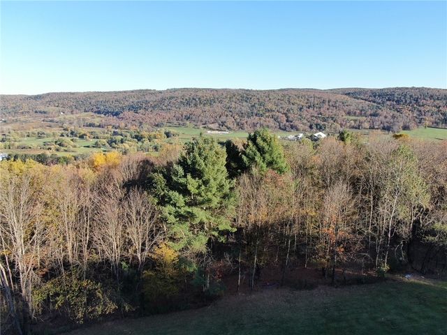 260 Log Cabin Lane, New Berlin, NY 13843