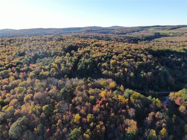 260 Log Cabin Lane, New Berlin, NY 13843