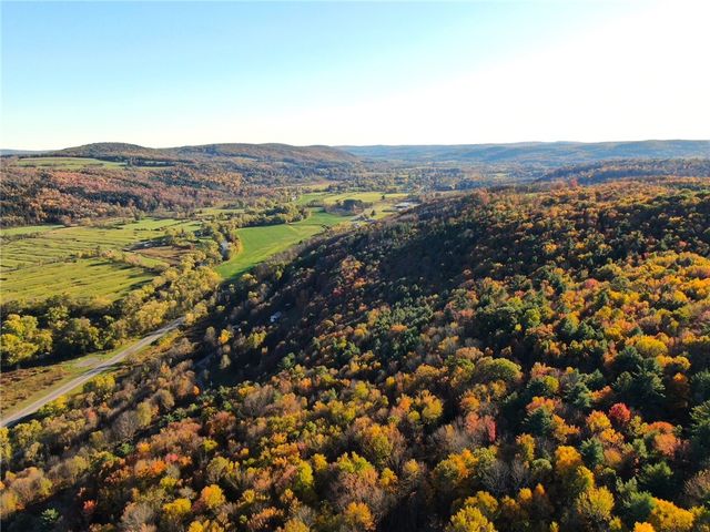 260 Log Cabin Lane, New Berlin, NY 13843