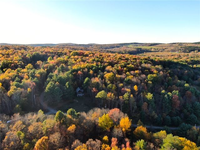 260 Log Cabin Lane, New Berlin, NY 13843