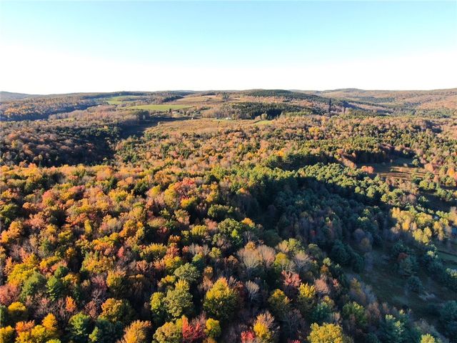 260 Log Cabin Lane, New Berlin, NY 13843