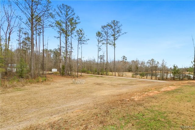 14118 Sipsey Valley Rd S, Ralph, AL 35480