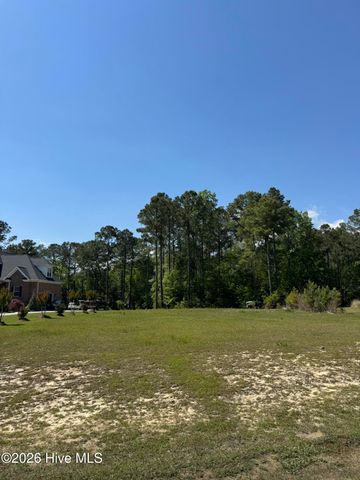 405 Palustris Court, Holly Ridge, NC 28445