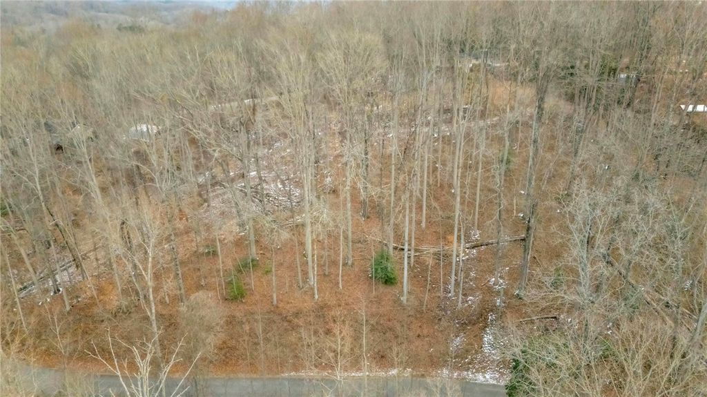 29 Forest Drive, Travelers Rest, SC 29690