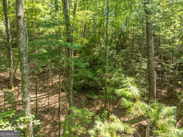 TR 3B Wolf Pen Gap Road, Ellijay, GA 30540
