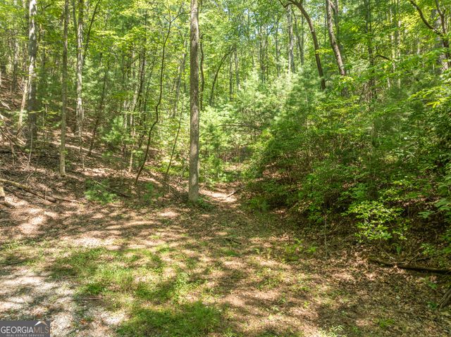TR 3B Wolf Pen Gap Road, Ellijay, GA 30540