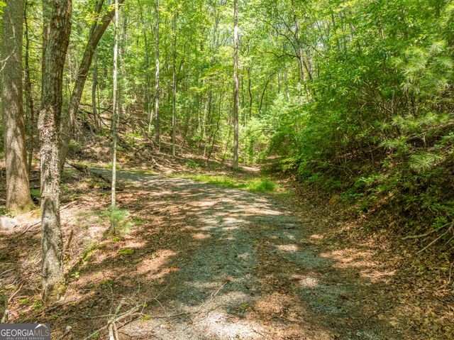 TR 3B Wolf Pen Gap Road, Ellijay, GA 30540