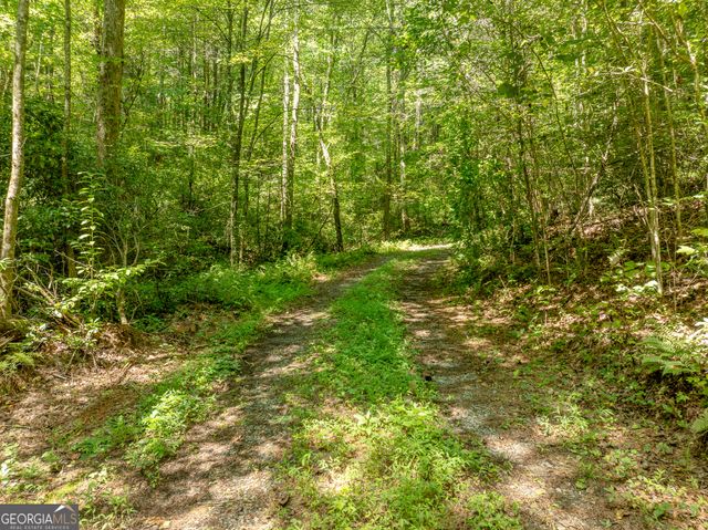 TR 3B Wolf Pen Gap Road, Ellijay, GA 30540