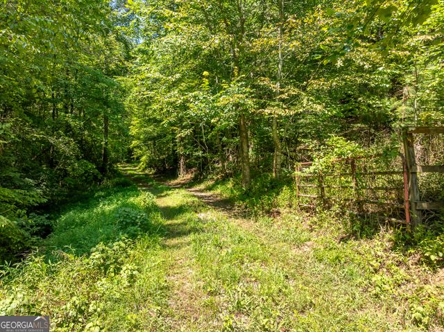TR 3B Wolf Pen Gap Road, Ellijay, GA 30540