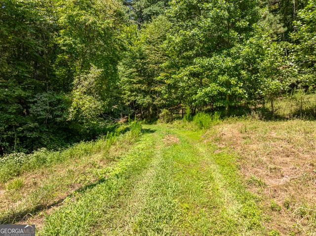 TR 3B Wolf Pen Gap Road, Ellijay, GA 30540