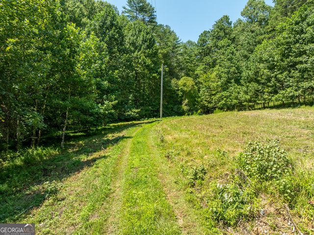 TR 3B Wolf Pen Gap Road, Ellijay, GA 30540