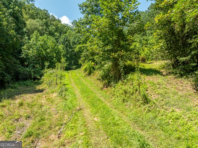 TR 3B Wolf Pen Gap Road, Ellijay, GA 30540