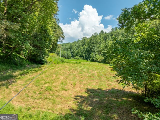 TR 3B Wolf Pen Gap Road, Ellijay, GA 30540