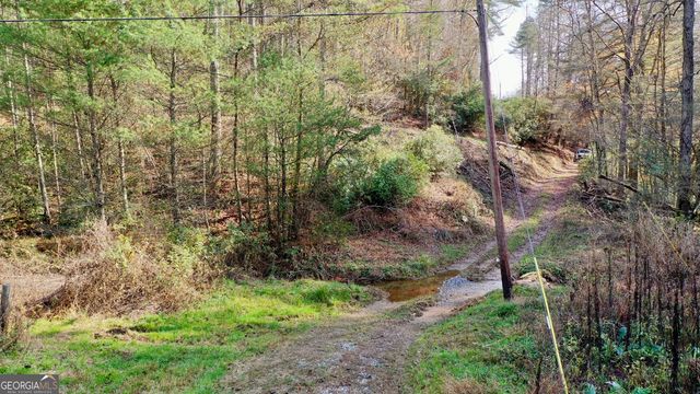 TR 3B Wolf Pen Gap Road, Ellijay, GA 30540