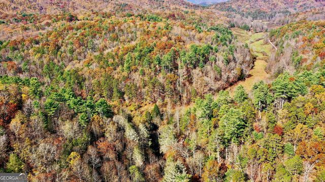 TR 3B Wolf Pen Gap Road, Ellijay, GA 30540