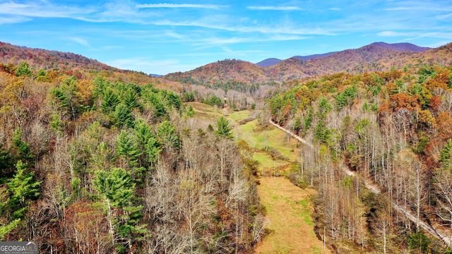 TR 3B Wolf Pen Gap Road, Ellijay, GA 30540