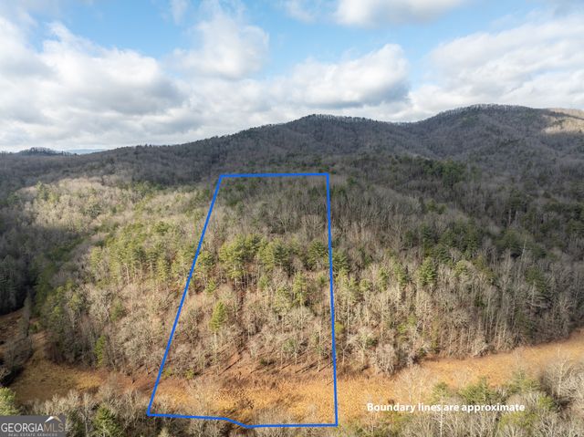 TR 3B Wolf Pen Gap Road, Ellijay, GA 30540