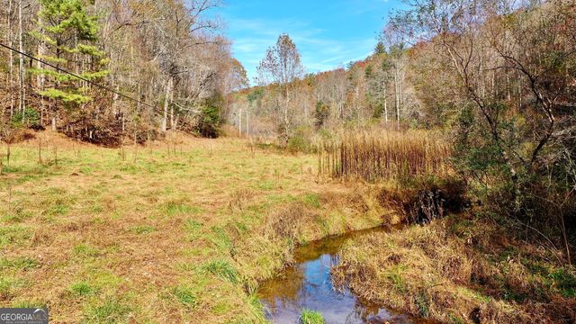 TR 3B Wolf Pen Gap Road, Ellijay, GA 30540