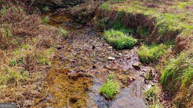 TR 3B Wolf Pen Gap Road, Ellijay, GA 30540