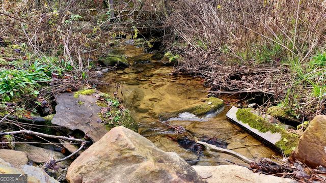 TR 3B Wolf Pen Gap Road, Ellijay, GA 30540
