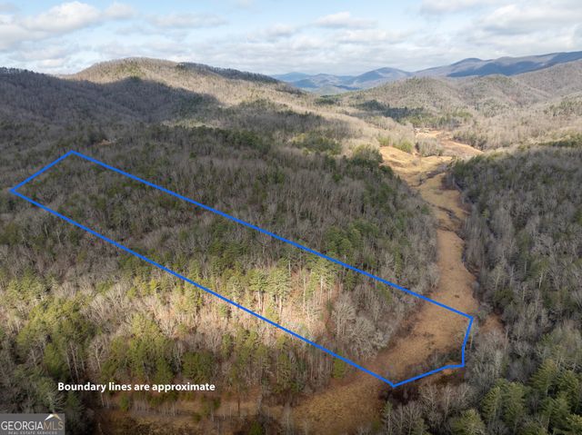 TR 3B Wolf Pen Gap Road, Ellijay, GA 30540